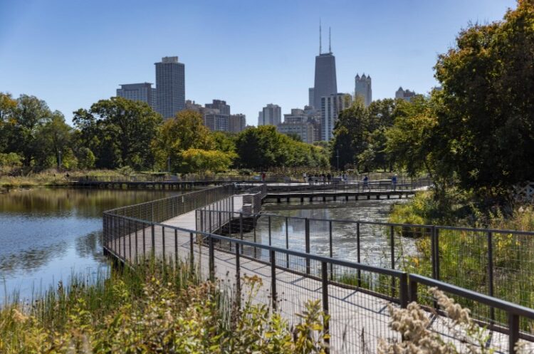 nature boardwalk